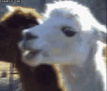 abd-16.gif