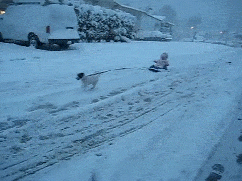 CDXRi.gif.png