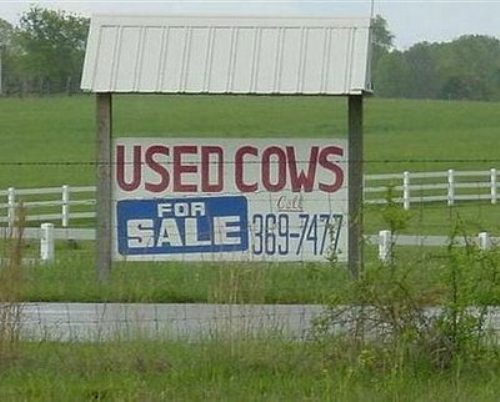 bizarre_signs_28.jpg