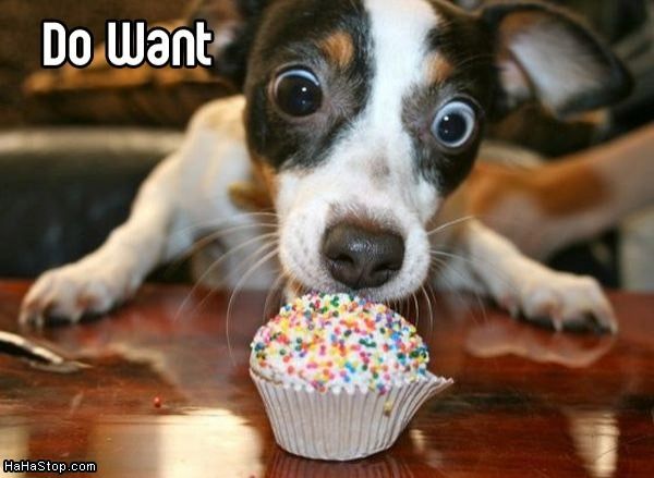 super_funny_hilarious_pictures_Do_Want_To_Nom.jpg