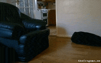 djBMr.gif