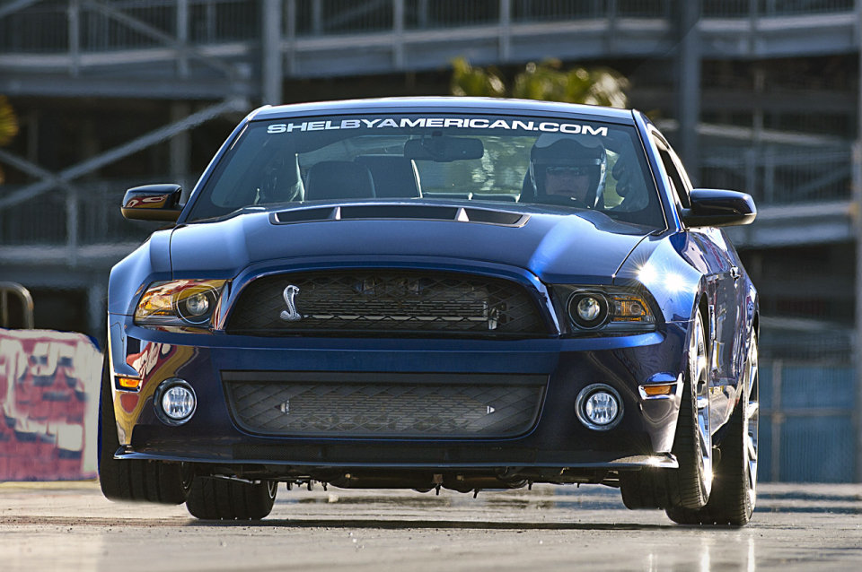 shelby_1000_02.jpg