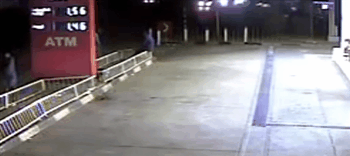 psx6eg6.gif