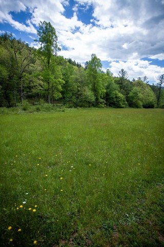 www.realtor.com