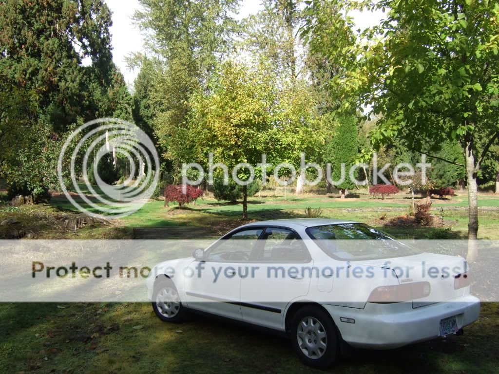 DSCF1317.jpg