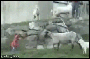 abd-46.gif