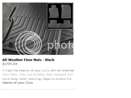 floor.jpg