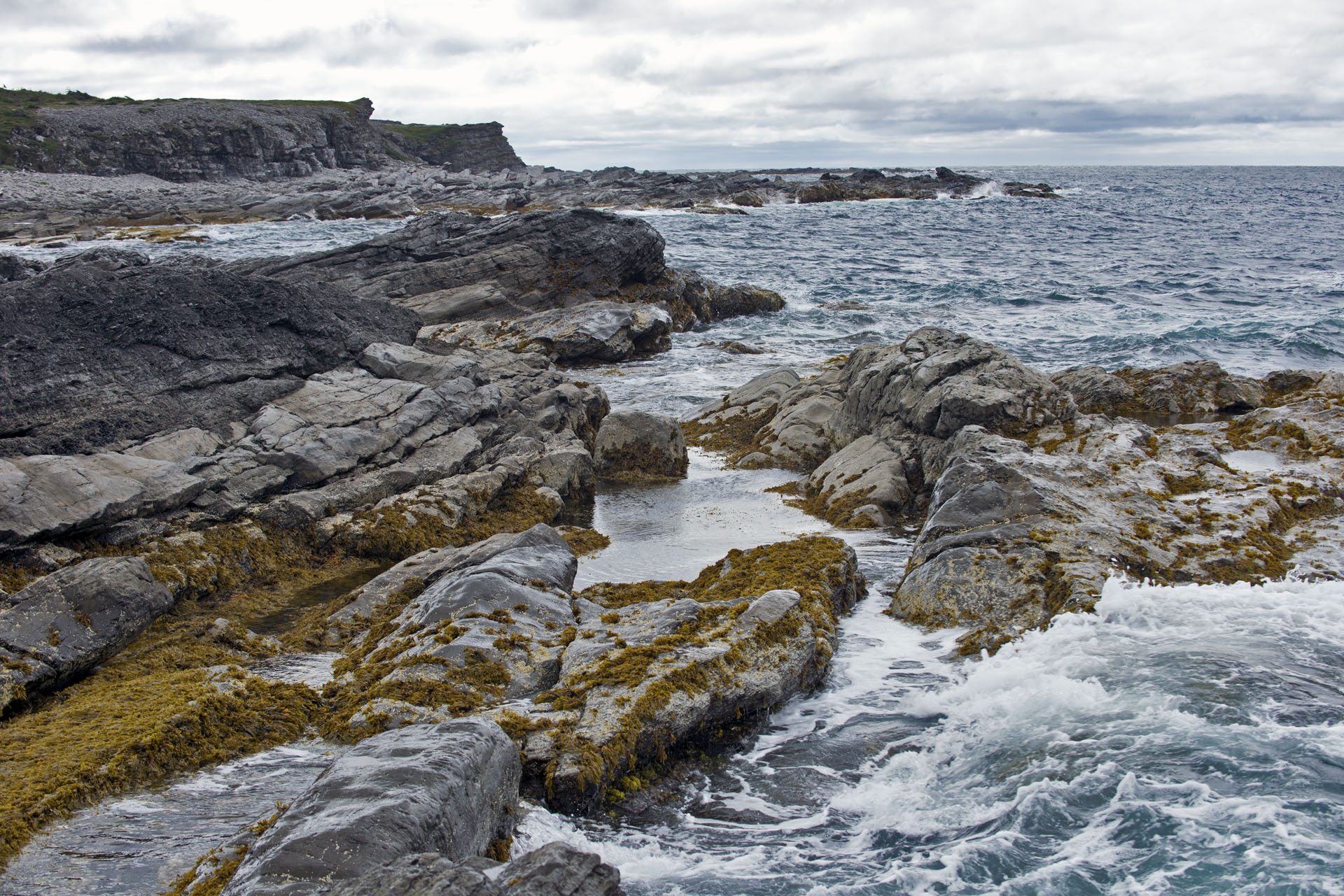 newfoundlandcoast.jpg