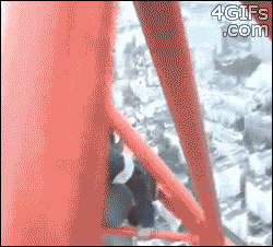 y7fGrXv.gif