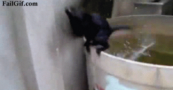 N2UFy.gif