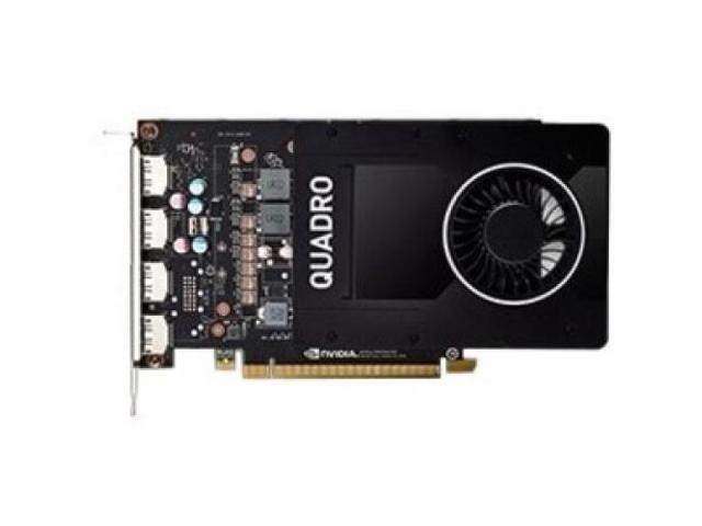 www.newegg.com