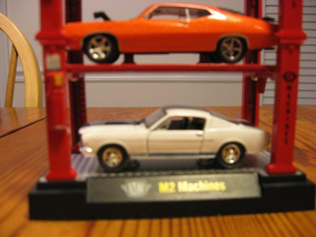 IMG_5453_zps3e1dfb06.jpg
