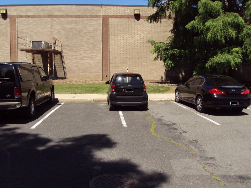 LPsEc.sized.jpg