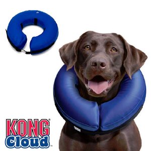 kong-cloud-1.jpg