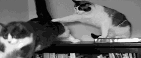 72XiP.gif