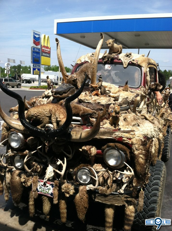 gMv3V.jpg