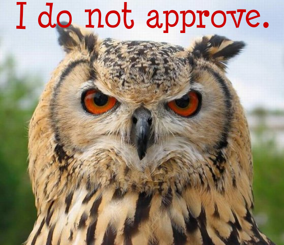 disapprovingowl.jpg