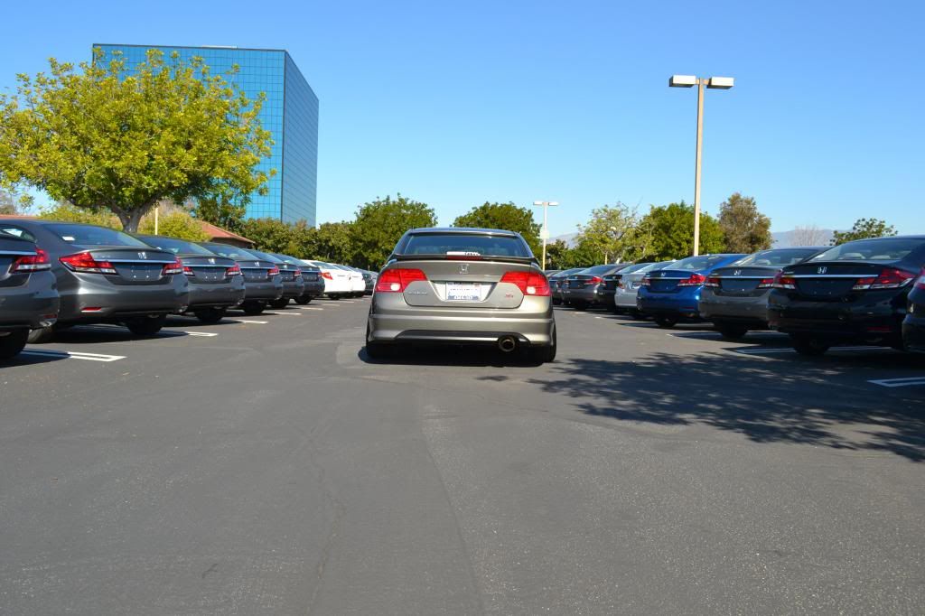 DSC_0222_zpsbc6af5e9.jpg