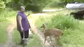 T0aktzE.gif
