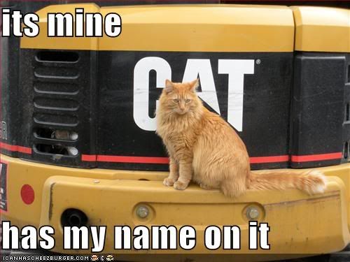 your-cat-owns-a-large-truck.jpg