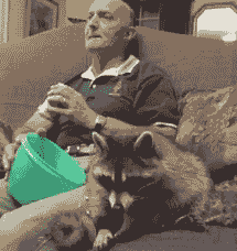 UuVQe.gif