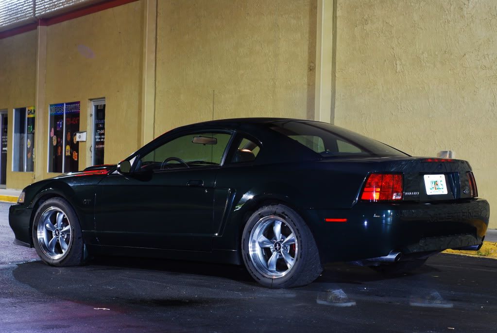 DSC_2147-1.jpg
