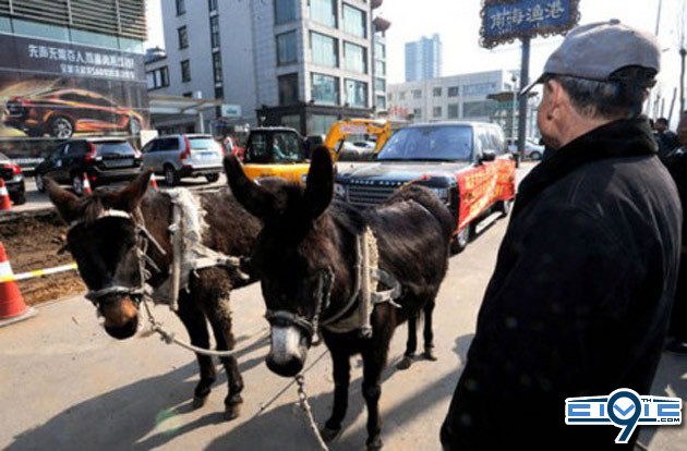 rangerover_donkey.jpg