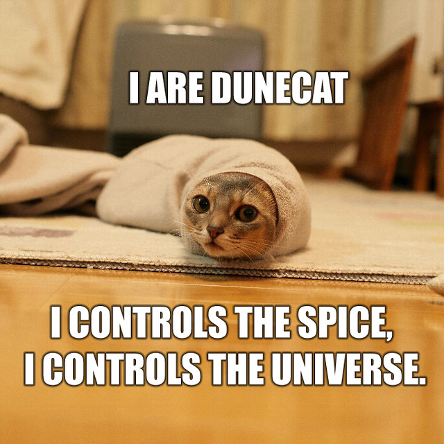 444454758_de33ecac43_z.jpg