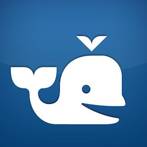 beluga.jpg