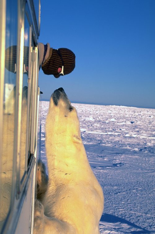 funny_awesome_photos_0.jpg