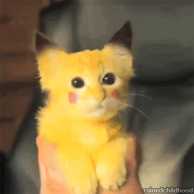 tumblr_n38x3spIra1r5zq6ao1_400.gif