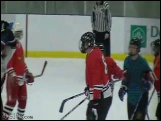 hockey_stick_break.gif