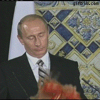 dRtAS.gif