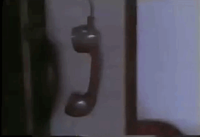 L7rkPNX.gif