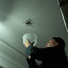 animated_gif_selection_xso51_22.gif