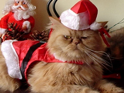 baddieverse_christmas.jpg