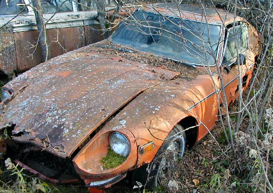 1972240z100507.jpg