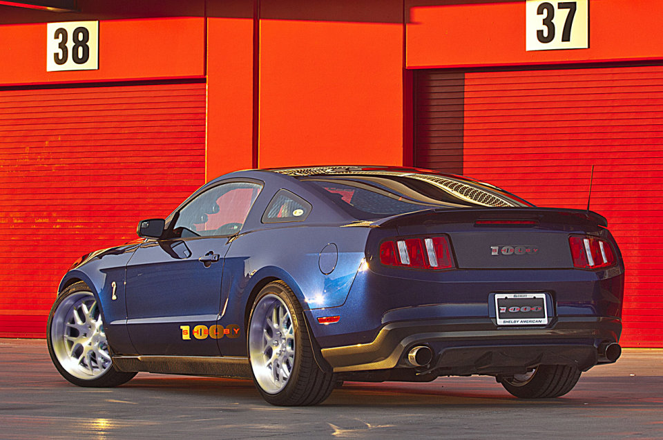 shelby_1000_07.jpg