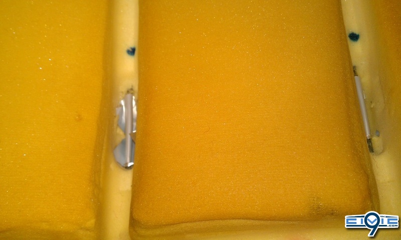 IMAG0165.sized.jpg