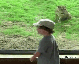 abd-43.gif