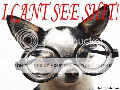 CantSee-Dog_with_glasses.jpg