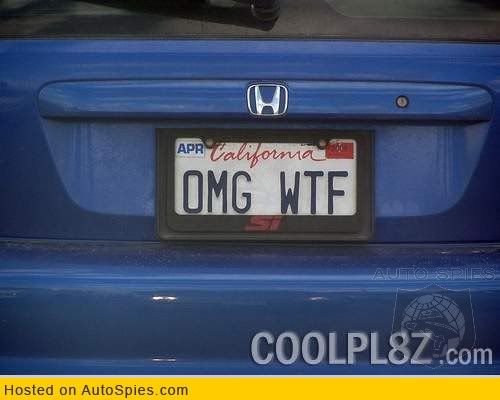 Funny-License-Plates-Photos.jpg