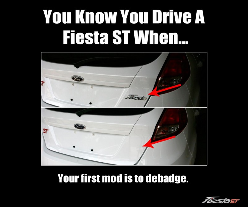 fiesta-st-meme7.jpg