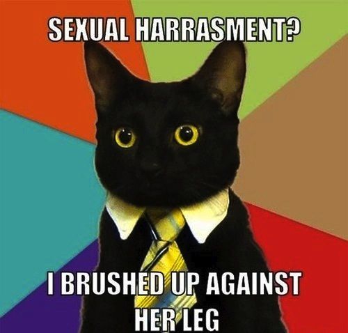 cat_saturday_132.jpg