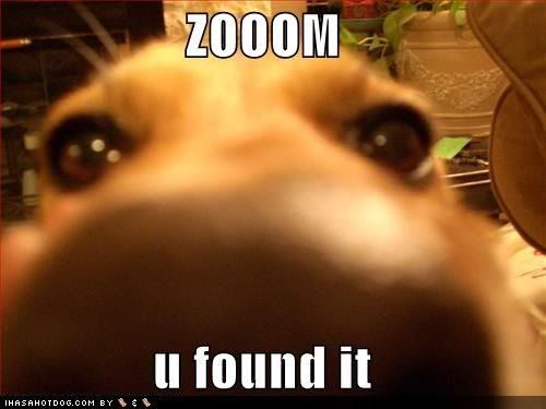 you-found-the-zoom-button.jpg