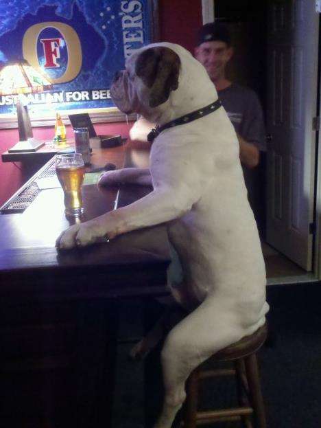 YKeG7.jpg