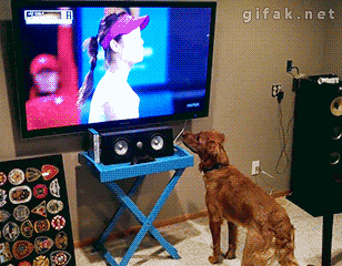 CezKJ7C.gif
