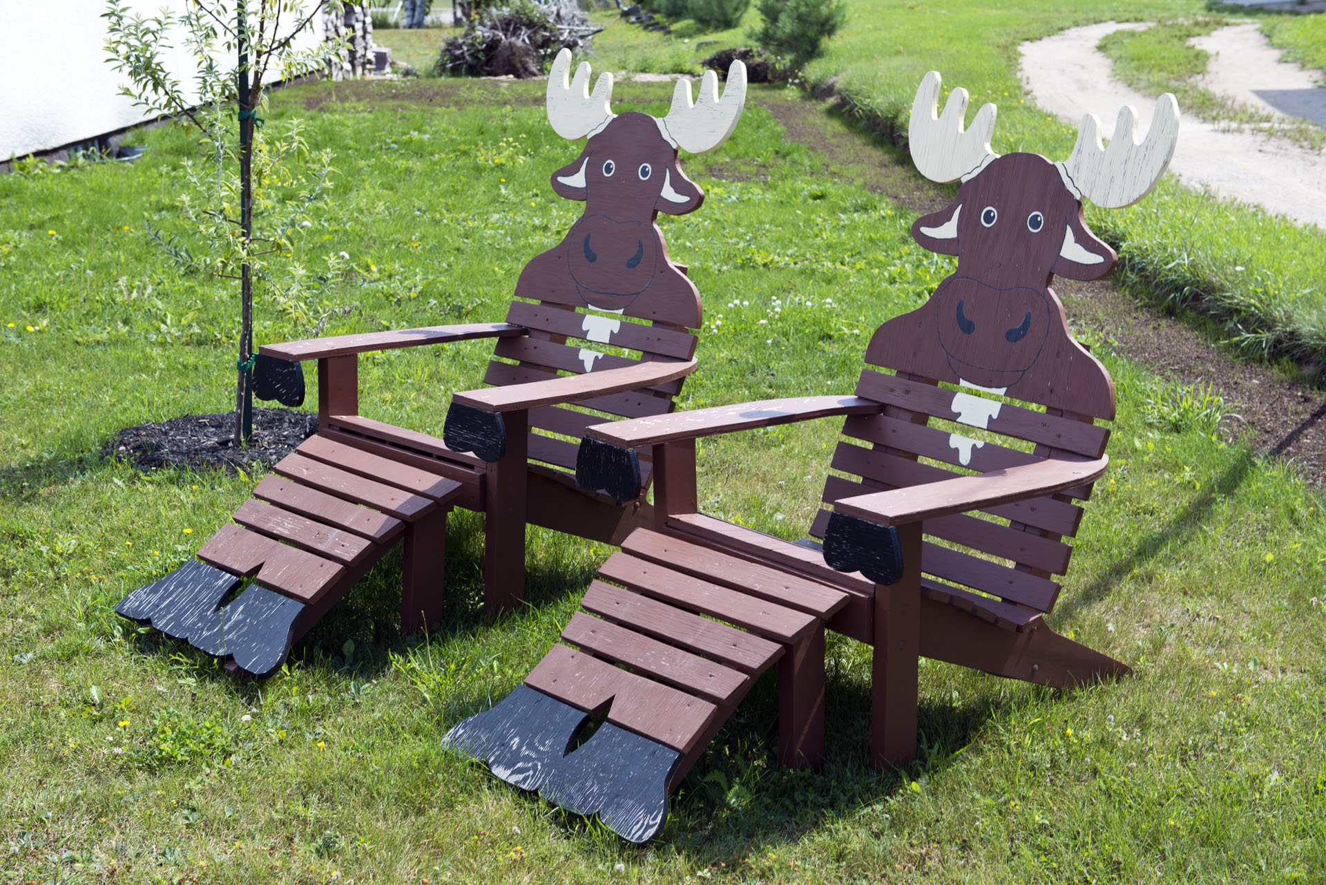 moosechairs.jpg