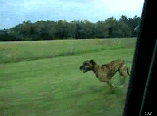 abd-54.gif