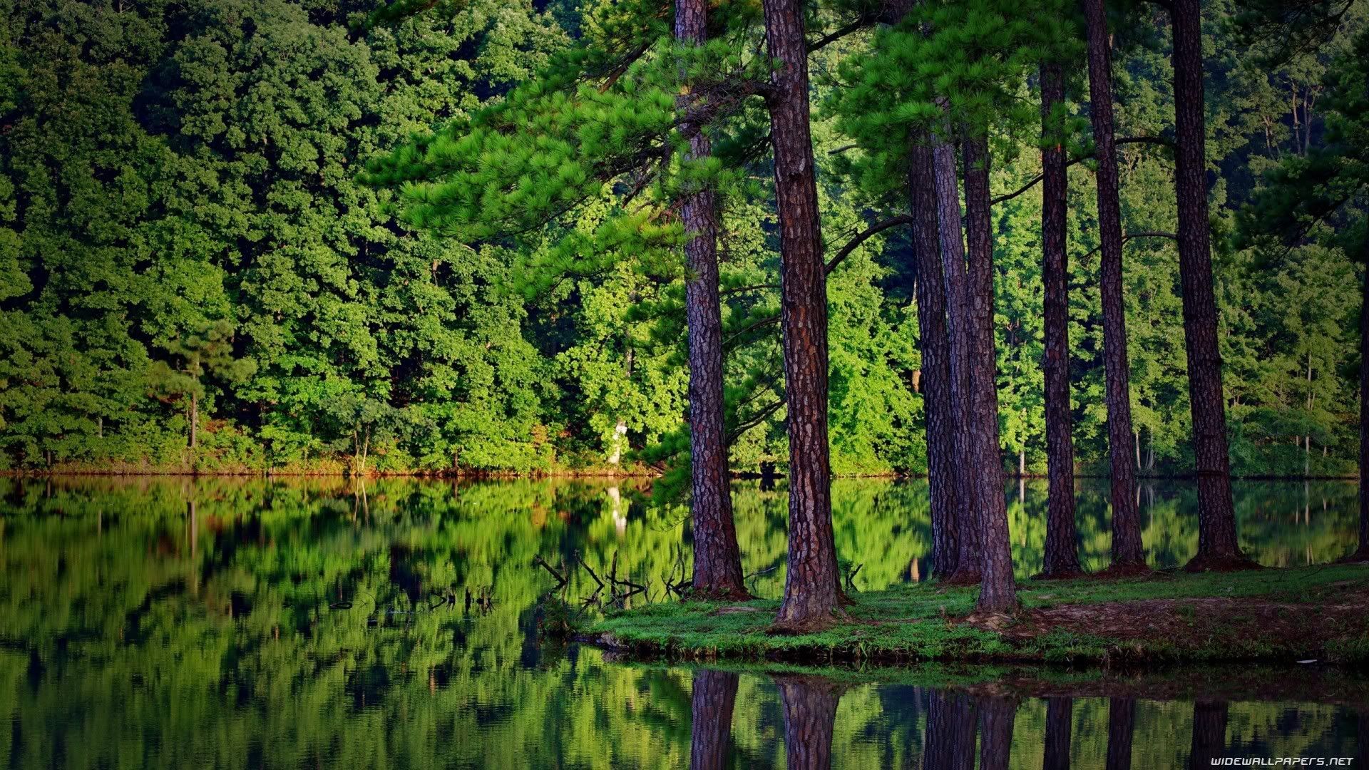 wallpaper-1782633.jpg